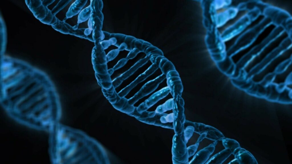 Biotech, il futuro delle competenze nel settore dna 163466 1280