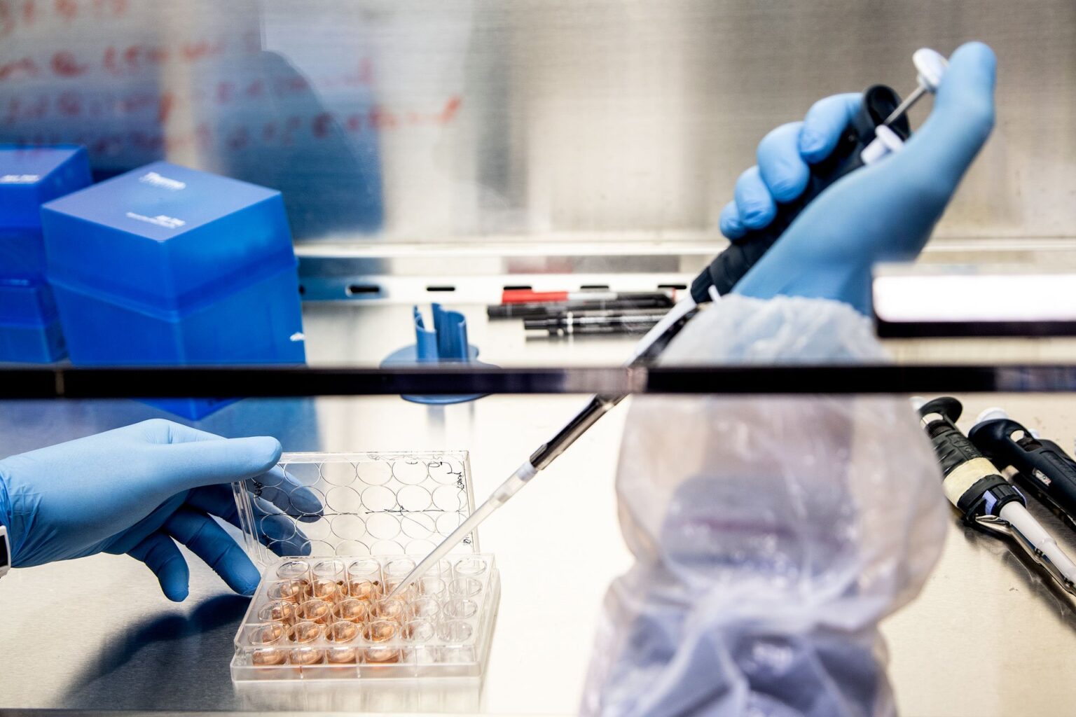 Tre startup hi-tech impegnate nella lotta al Covid vectorology unit